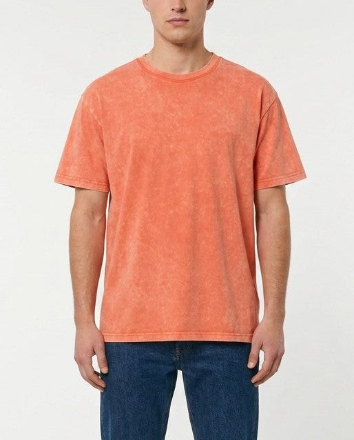 Back view of the paprika T101 t-shirt showing the shoulder seams and collar