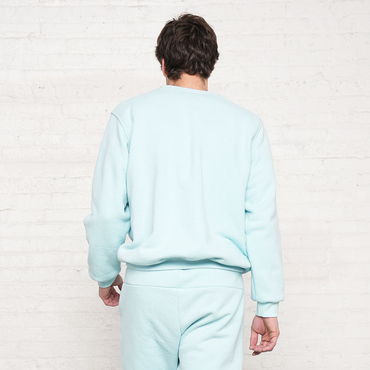 Back view of the light blue crew neck sweatshirt